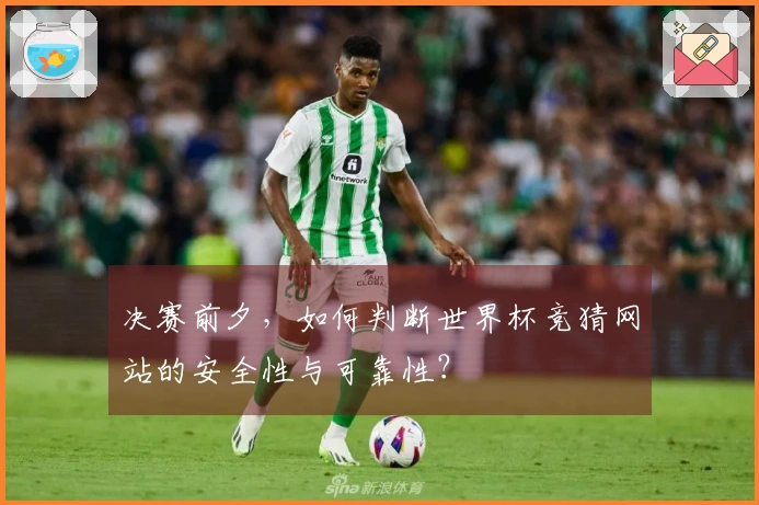 决赛前夕,如何判断世界杯竞猜网站的安全性与可靠性?