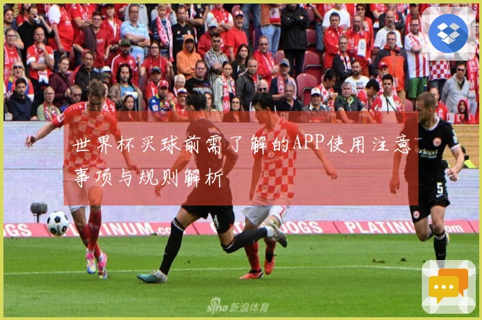 世界杯买球前需了解的APP使用注意事项与规则解析