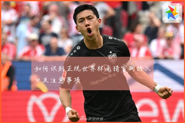 如何识别正规世界杯竞猜官网的入口及注意事项