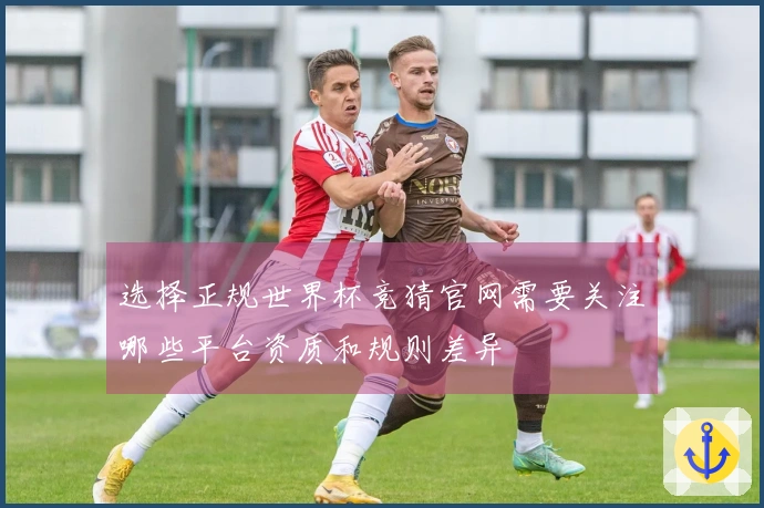 选择正规世界杯竞猜官网需要关注哪些平台资质和规则差异