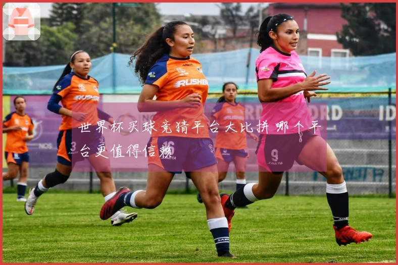 世界杯买球竞猜平台大比拼 哪个平台更值得信赖
