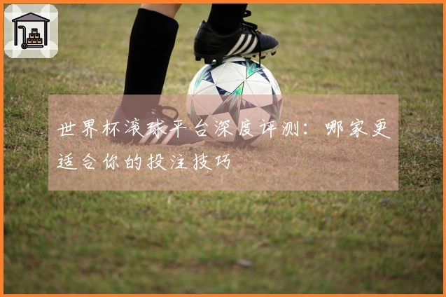 世界杯滚球平台深度评测：哪家更适合你的投注技巧