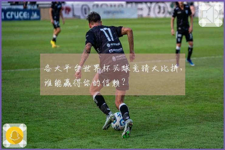 各大平台世界杯买球竞猜大比拼，谁能赢得你的信赖？