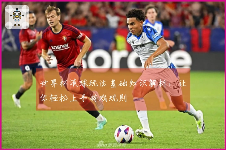 世界杯滚球玩法基础知识解析，让你轻松上手游戏规则