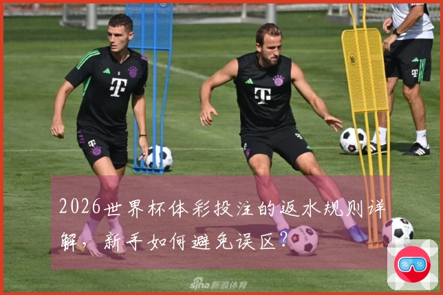 2026世界杯体彩投注的返水规则详解，新手如何避免误区？
