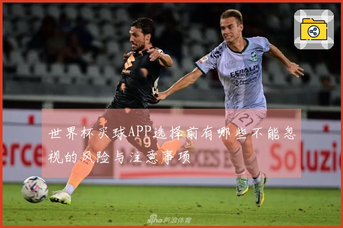 世界杯买球APP选择前有哪些不能忽视的风险与注意事项