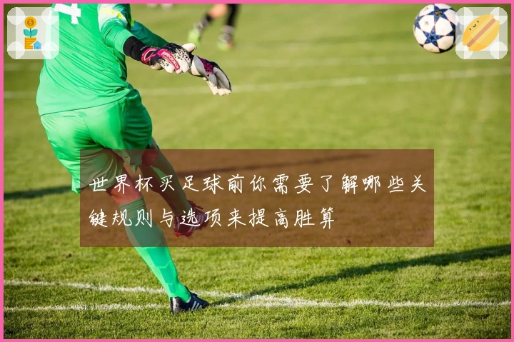世界杯买足球前你需要了解哪些关键规则与选项来提高胜算