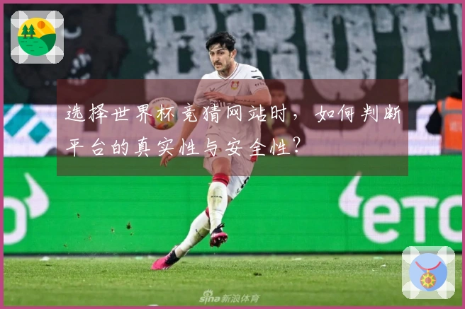 选择世界杯竞猜网站时，如何判断平台的真实性与安全性？