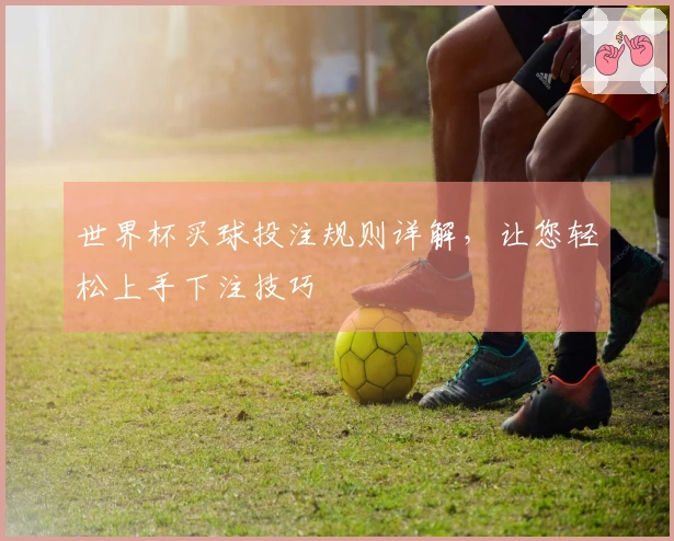 世界杯买球投注规则详解，让您轻松上手下注技巧