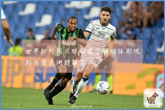 世界杯外围买球前需了解的体彩规则与常见问题解答