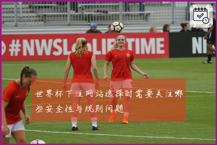 世界杯下注网站选择时需要关注哪些安全性与规则问题