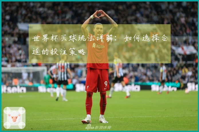 世界杯买球玩法详解：如何选择合适的投注策略