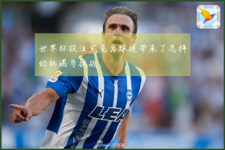 世界杯投注究竟为球迷带来了怎样的机遇与挑战