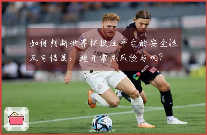 如何判断世界杯投注平台的安全性及可信度，避开常见风险与坑？