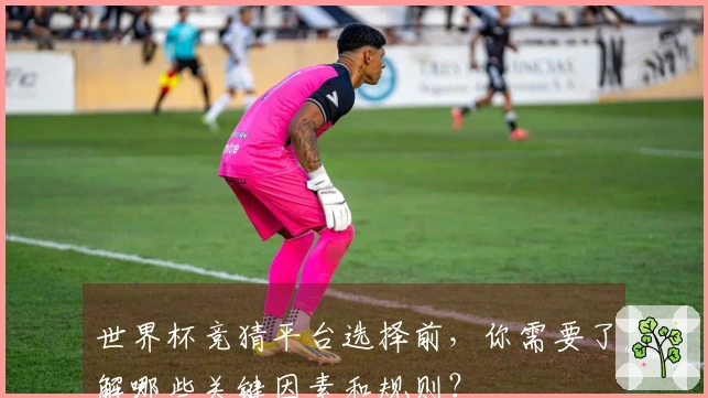 世界杯竞猜平台选择前，你需要了解哪些关键因素和规则？