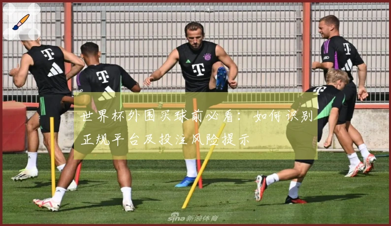 世界杯外围买球前必看：如何识别正规平台及投注风险提示