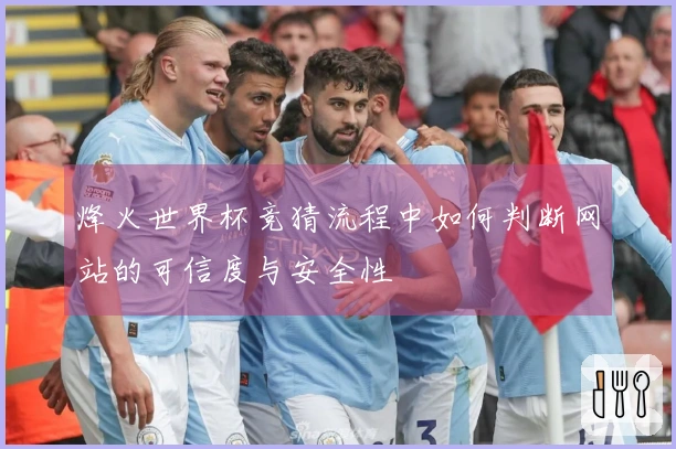烽火世界杯竞猜流程中如何判断网站的可信度与安全性