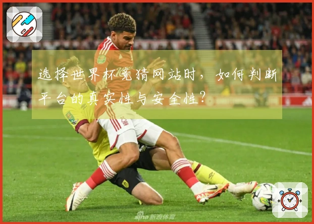 选择世界杯竞猜网站时，如何判断平台的真实性与安全性？