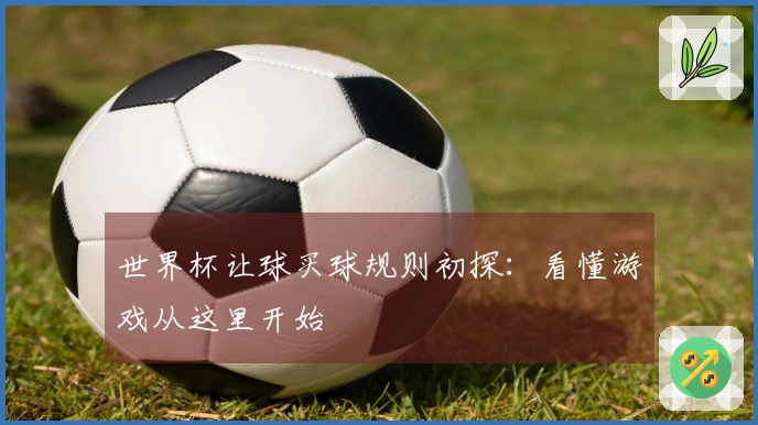 世界杯让球买球规则初探：看懂游戏从这里开始