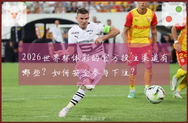 2026世界杯体彩的官方投注渠道有哪些？如何安全参与下注？